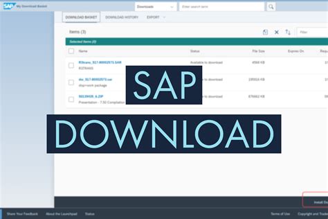sap dmrc portal|Software Downloads .